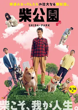 国产激情在线
